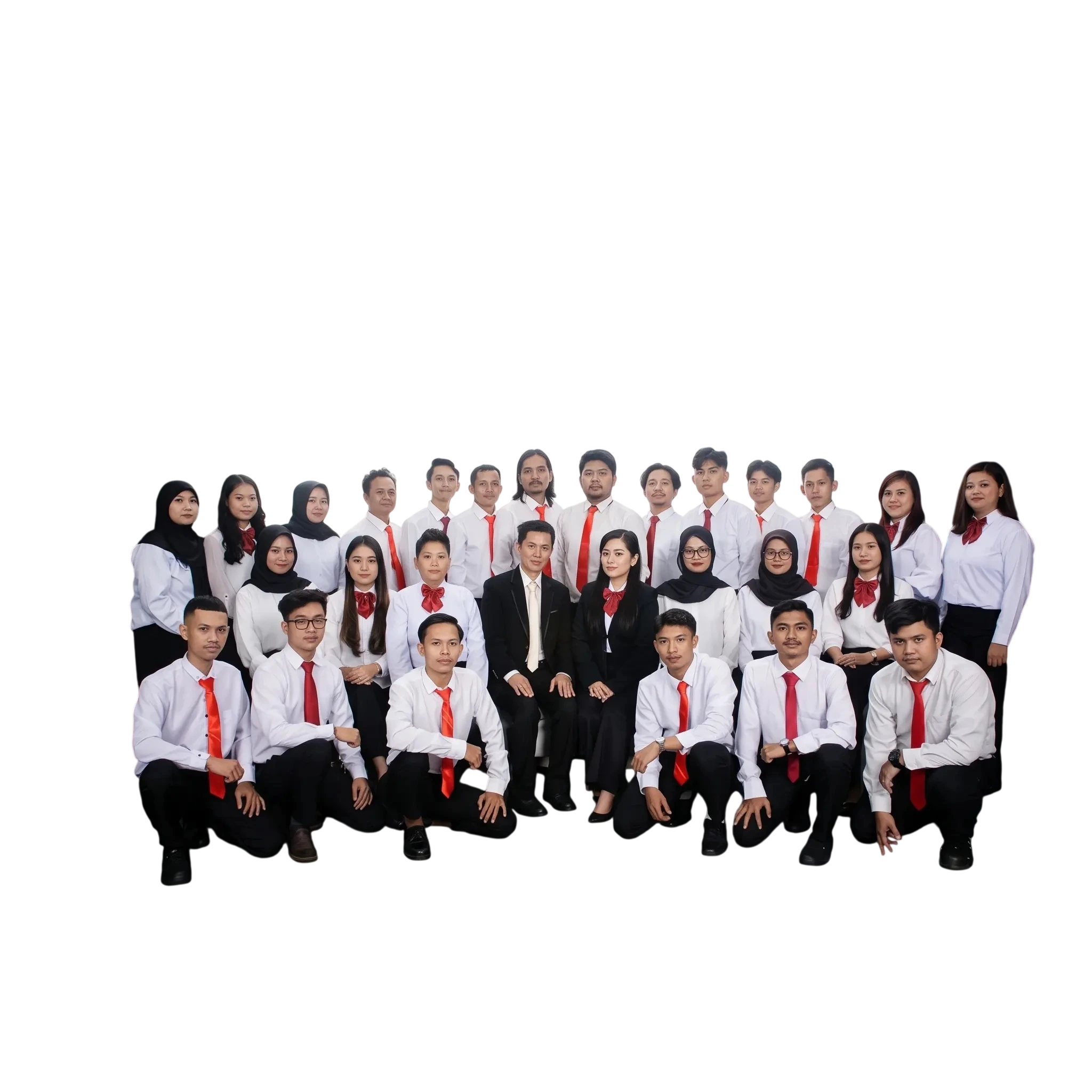 Professional Engineering Team